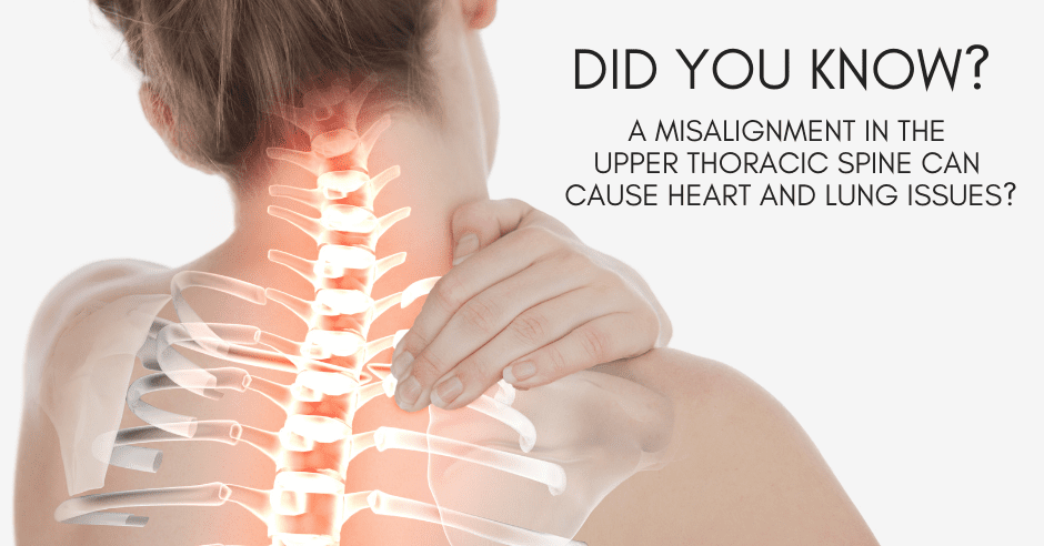 Upper Spine Atlanta GA Heart and Lungs