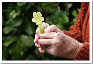 Arthritis Pain Relief Atlanta GA