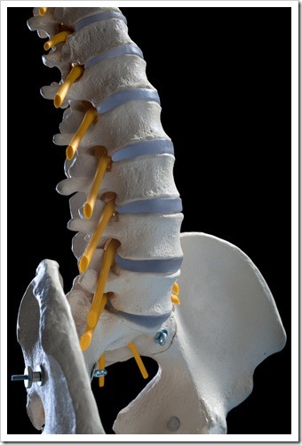 Herniated Disc and Back Pain Atlanta GA