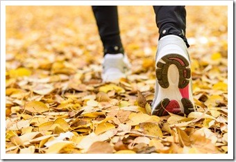 Atlanta GA Walking and Chiropractic Wellness